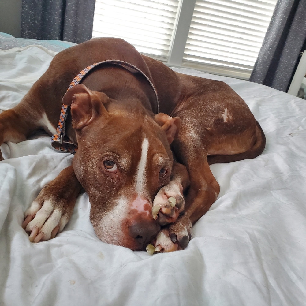 Meet your Posher, Jen